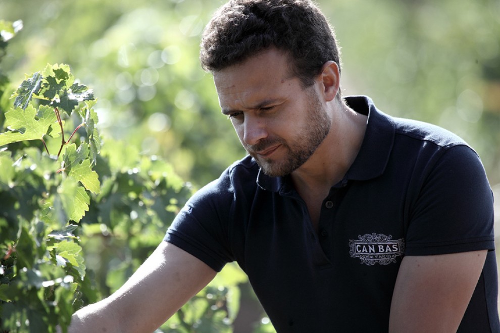 Imatge il·lustrativa