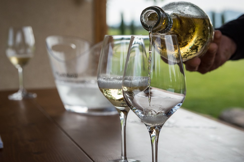 Vilarnau ha estat reconegut amb dues medalles d’Or als prestigiosos Decanter World Wine Awards 2025.