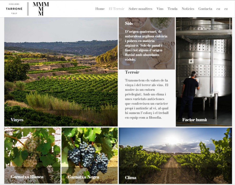 Imatge il·lustrativa