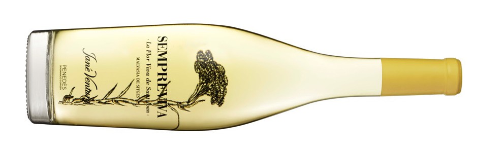 Imatge il·lustrativa