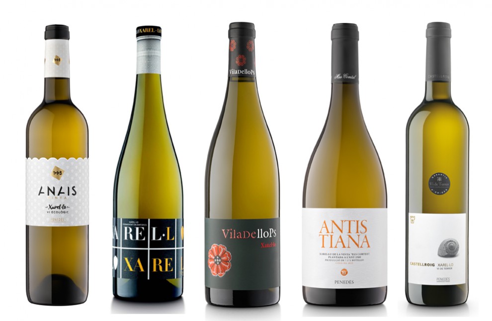 Imatge il·lustrativa