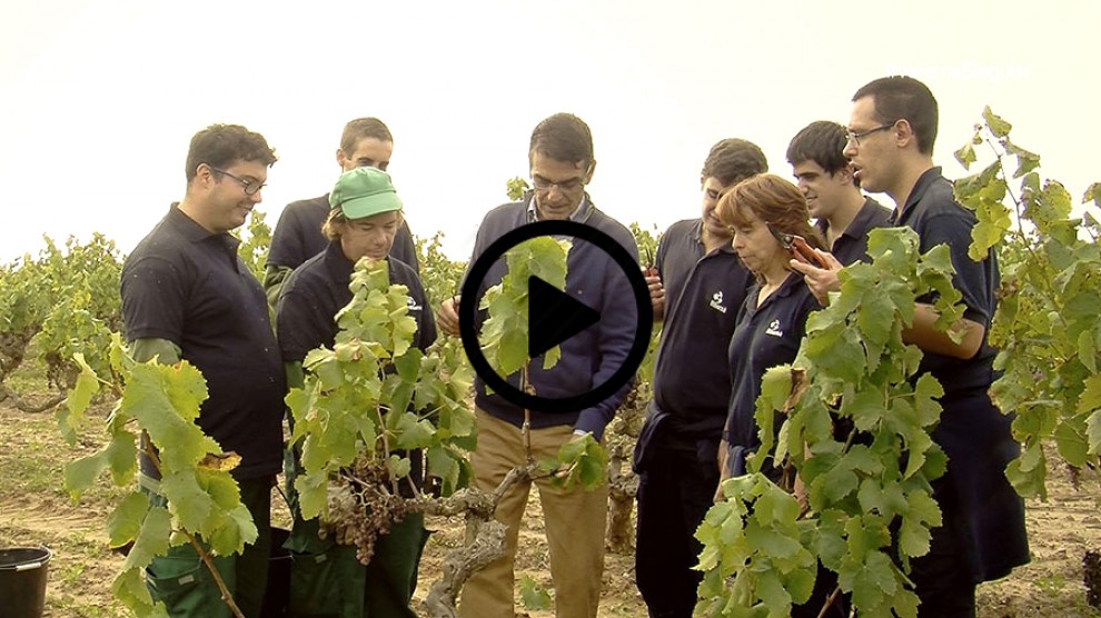 Imatge il·lustrativa