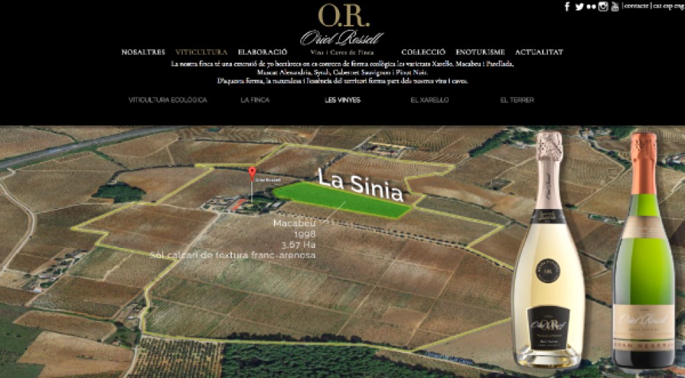 Imatge il·lustrativa