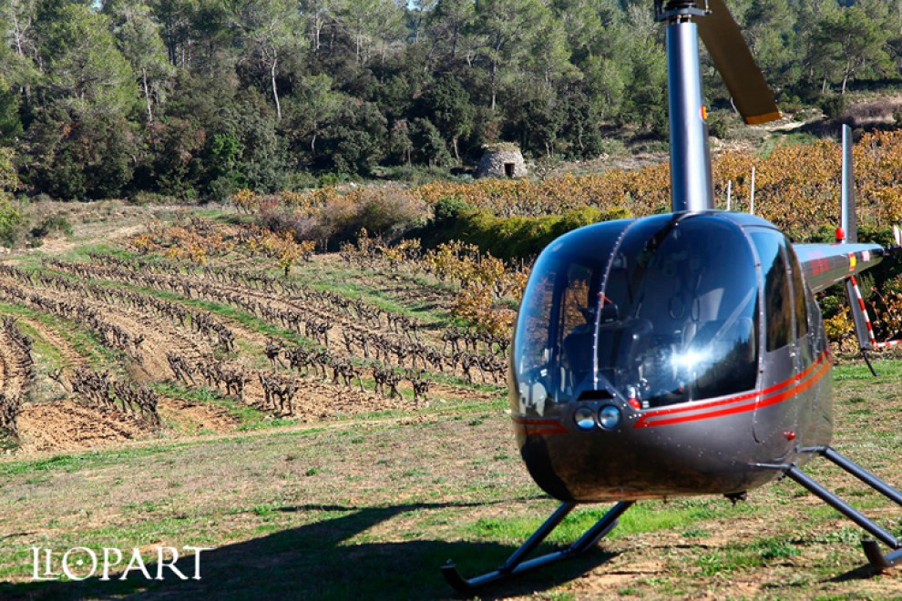 Imatge il·lustrativa