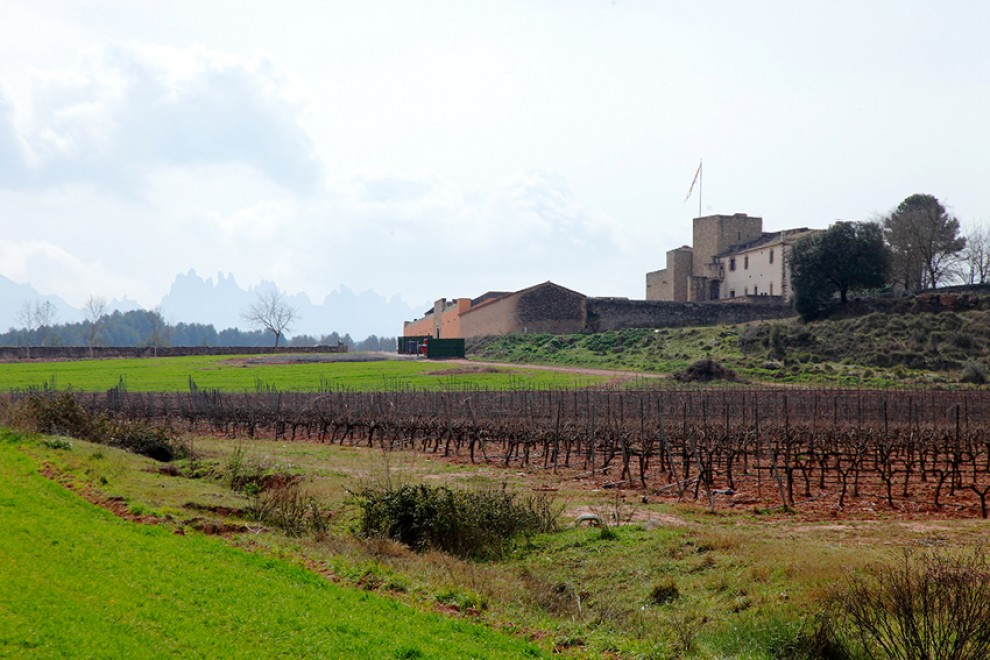 Imatge il·lustrativa