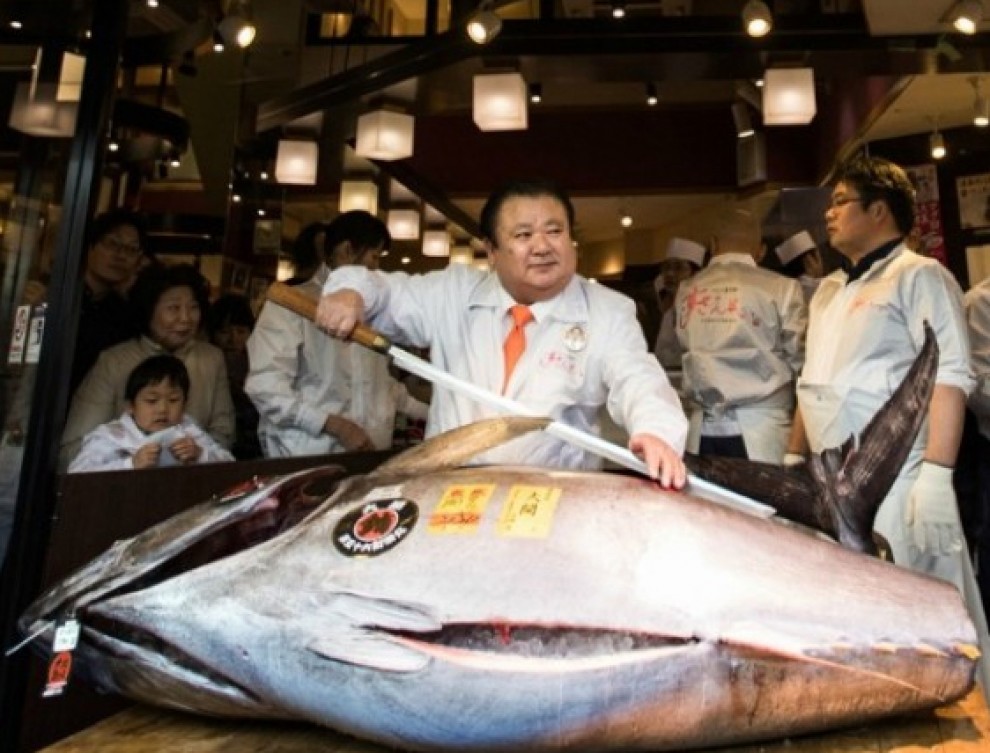 Imatge il·lustrativa