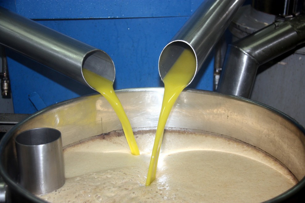 Imatge il·lustrativa