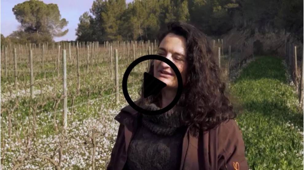 Imatge il·lustrativa