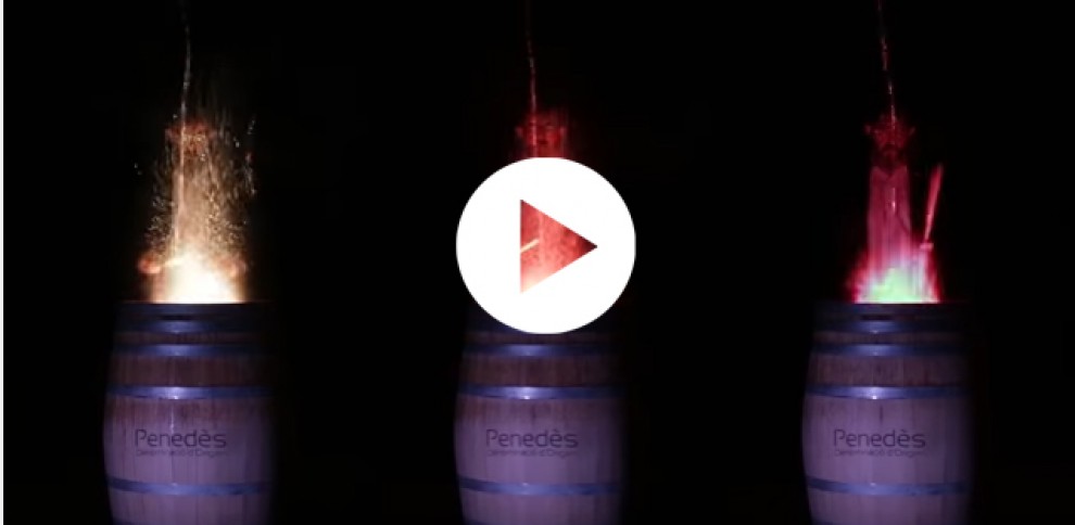 Imatge il·lustrativa