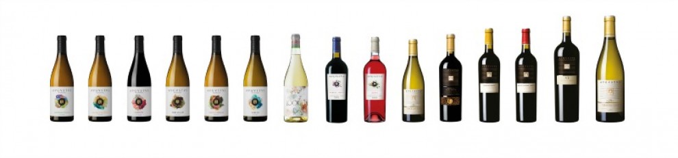 Imatge il·lustrativa