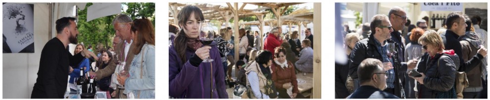 Imatge il·lustrativa