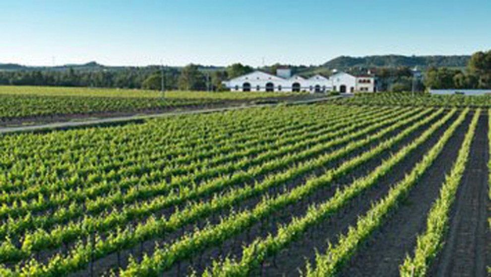 Imatge il·lustrativa