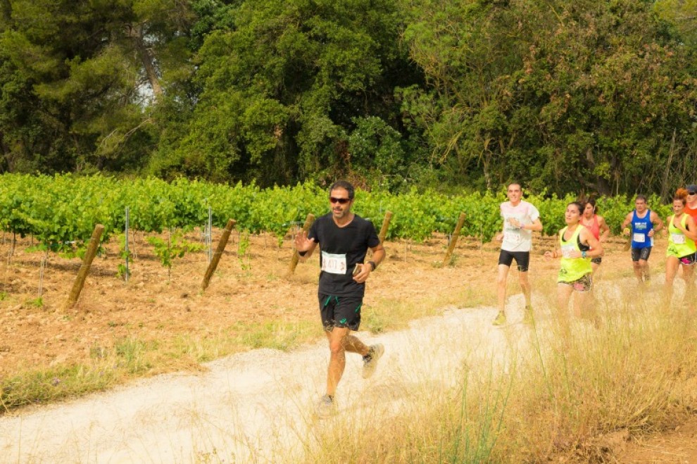 Imatge il·lustrativa