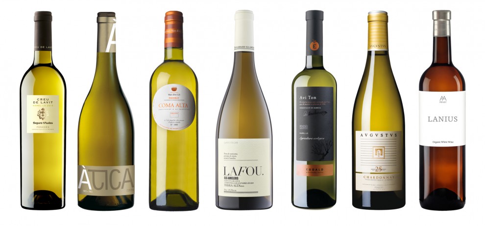 Imatge il·lustrativa