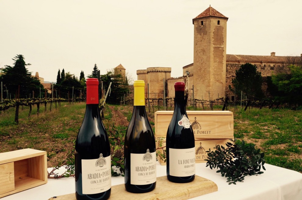 Imatge il·lustrativa