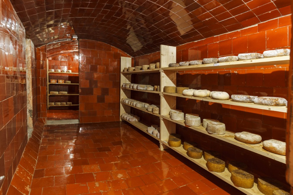 Imatge il·lustrativa