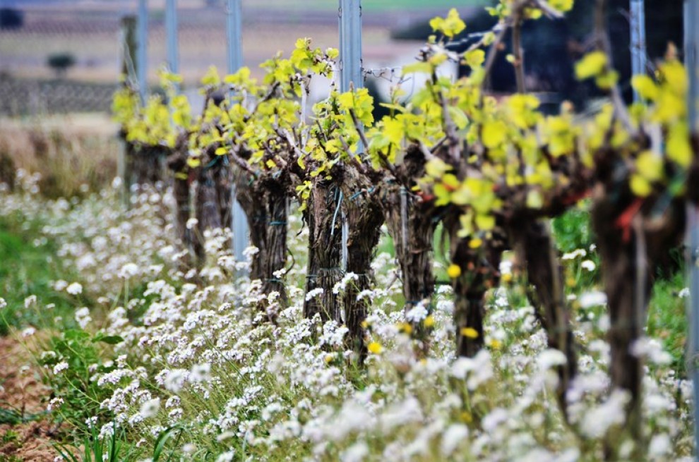 Imatge il·lustrativa