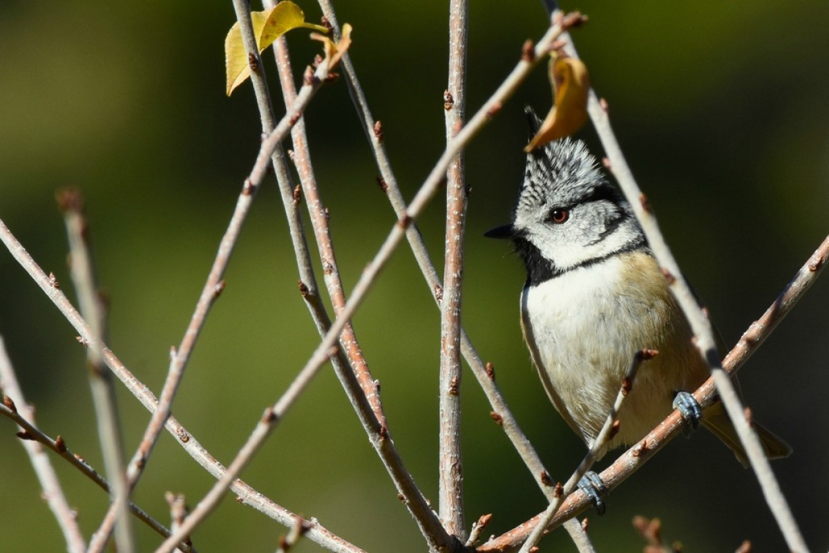 Imatge il·lustrativa