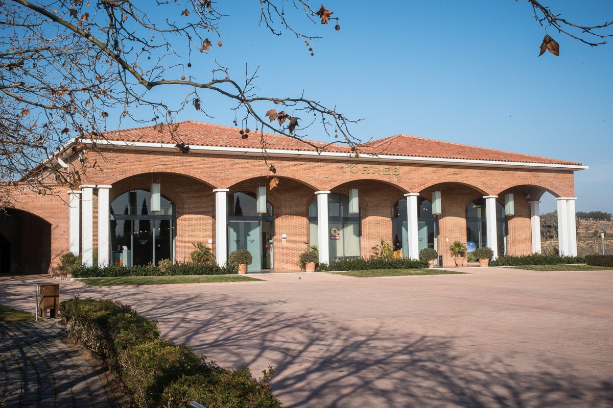 Celler Waltraud de Torres a Pacs del Penedès