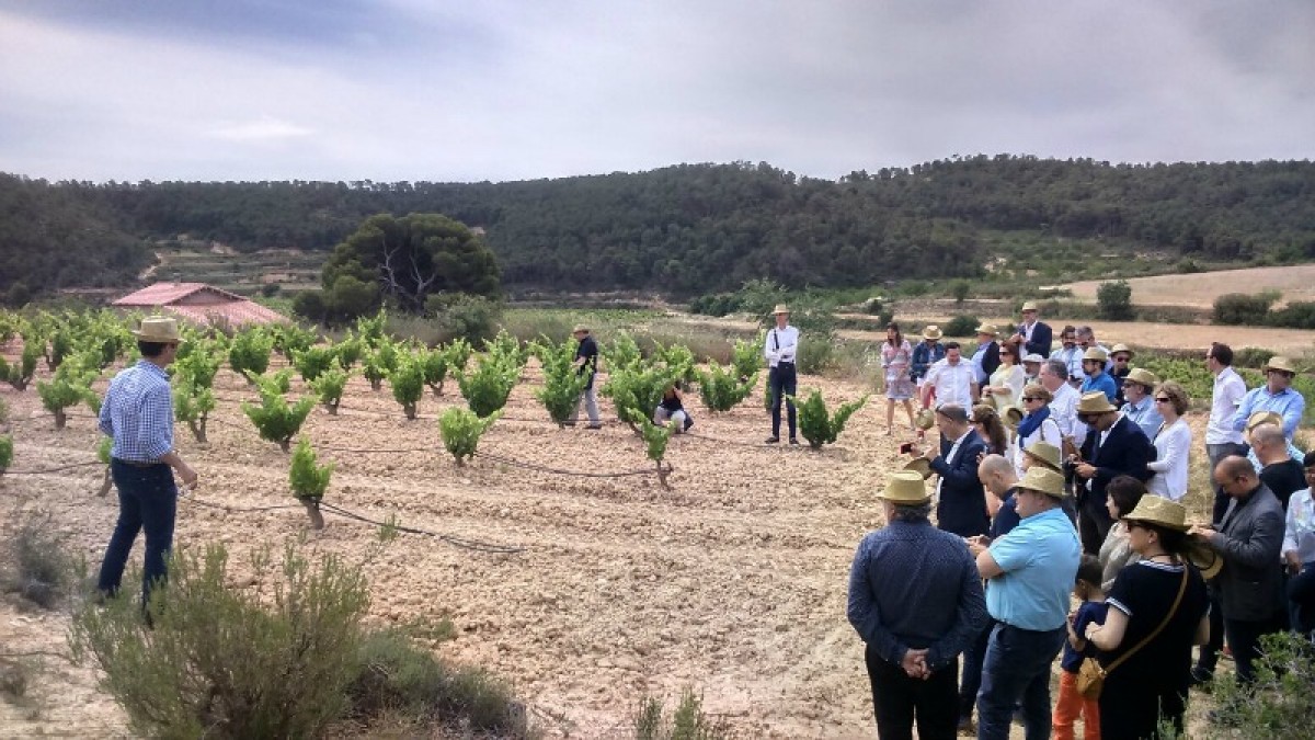 Imatge il·lustrativa