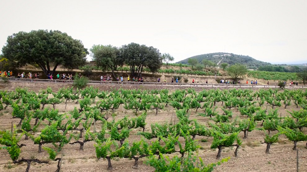 Imatge il·lustrativa