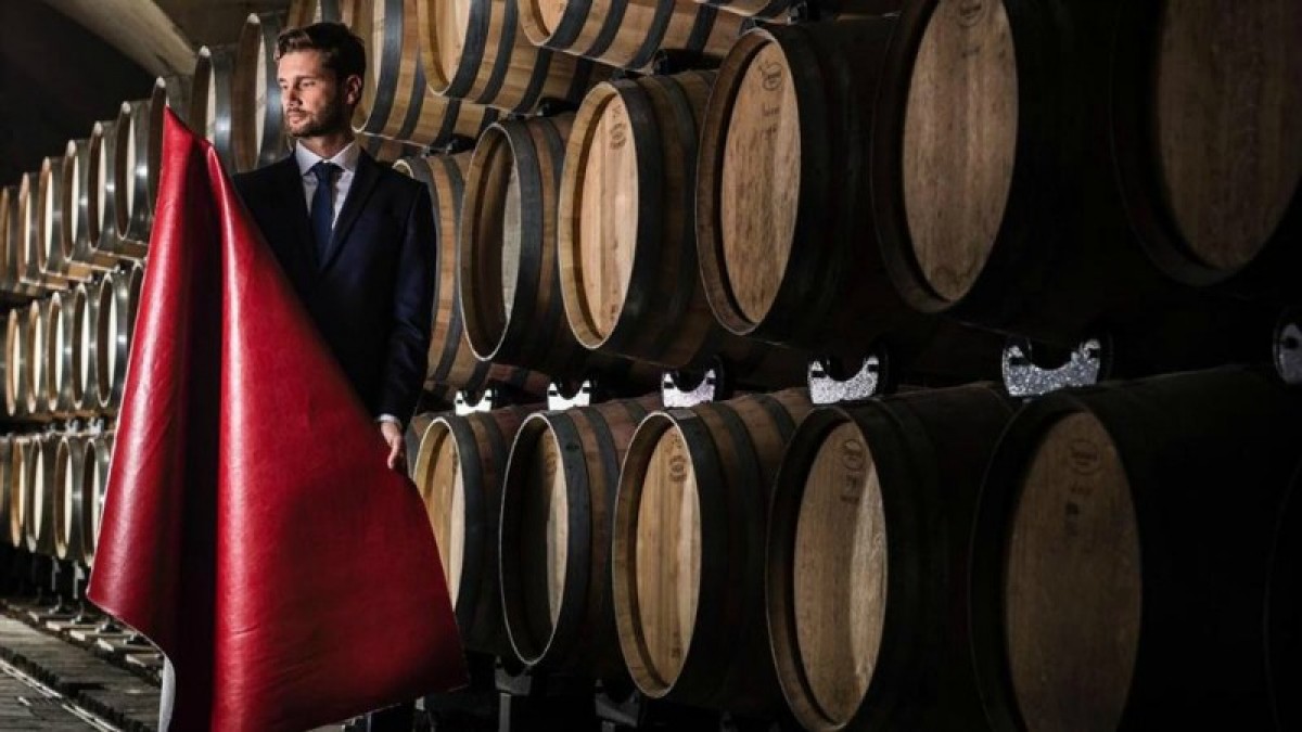 Imatge il·lustrativa