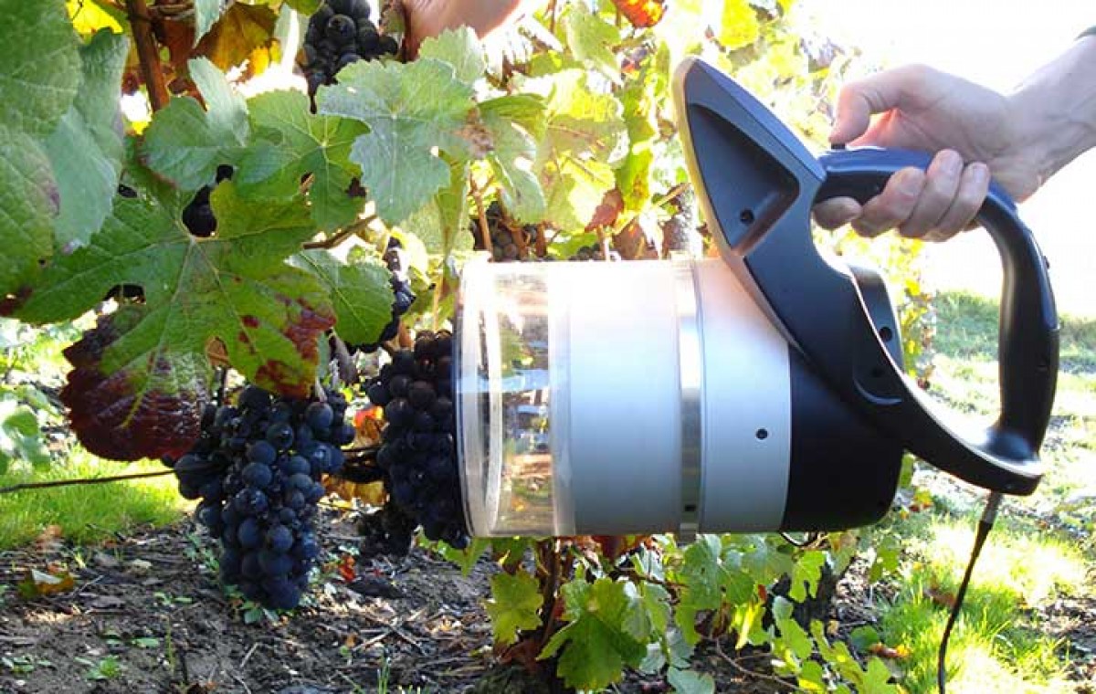 Imatge il·lustrativa