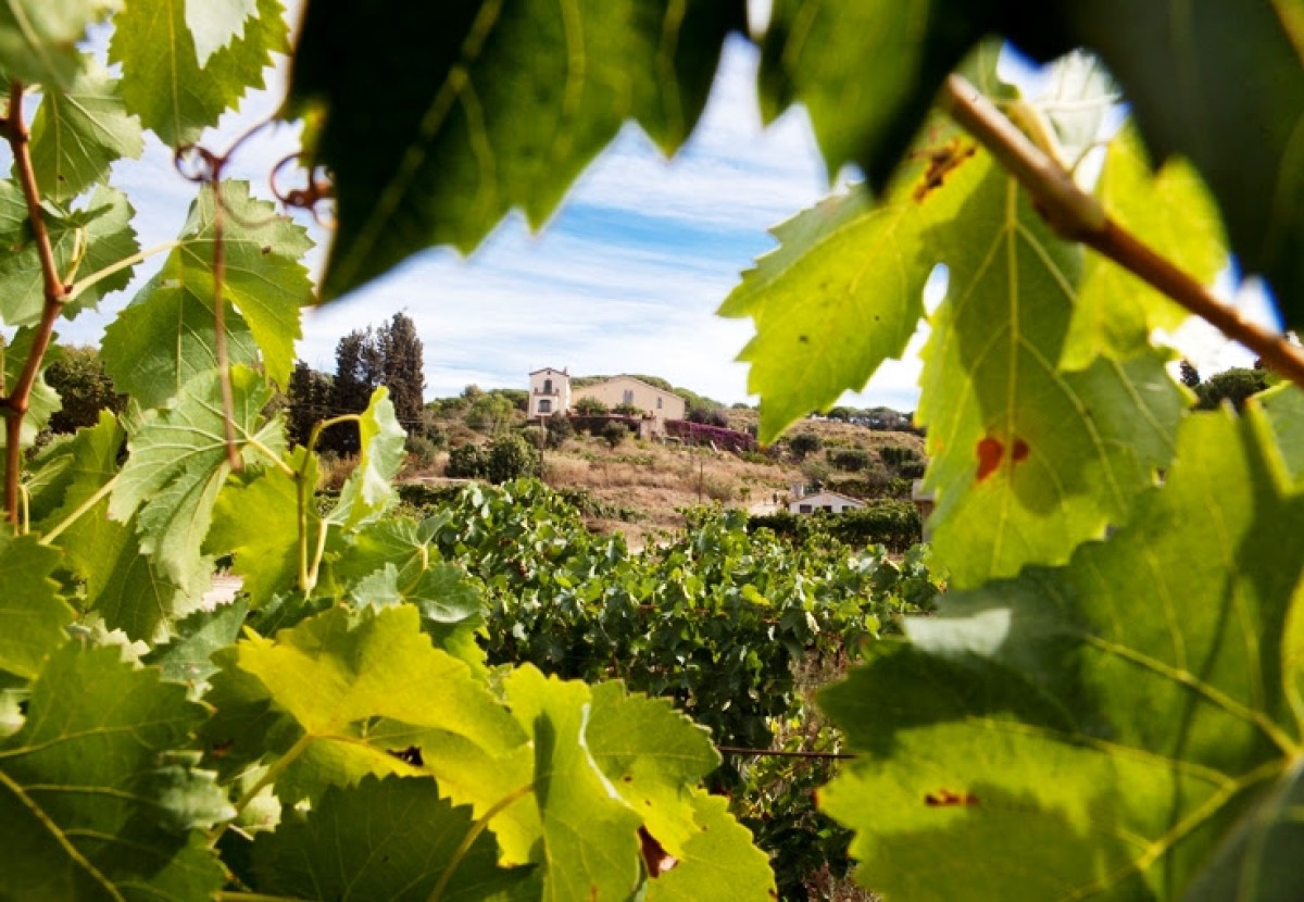 Imatge il·lustrativa