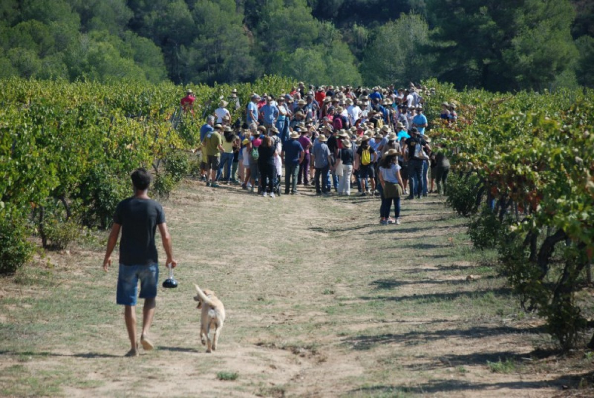 Imatge il·lustrativa