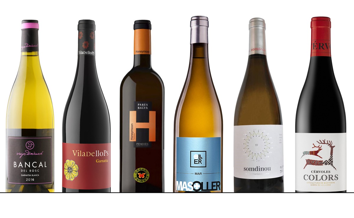 Imatge il·lustrativa