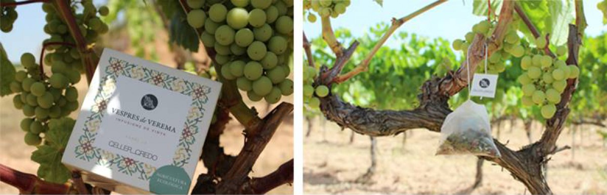 Imatge il·lustrativa