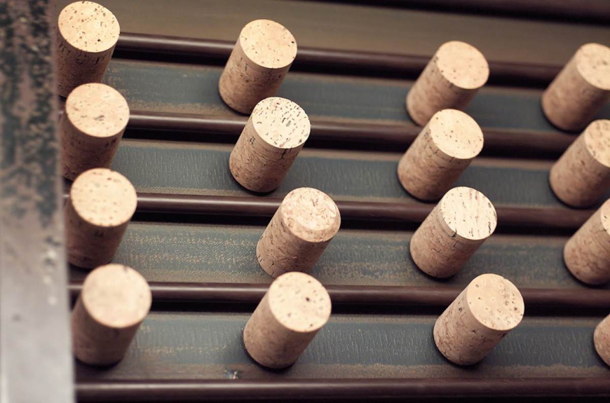 Imatge il·lustrativa