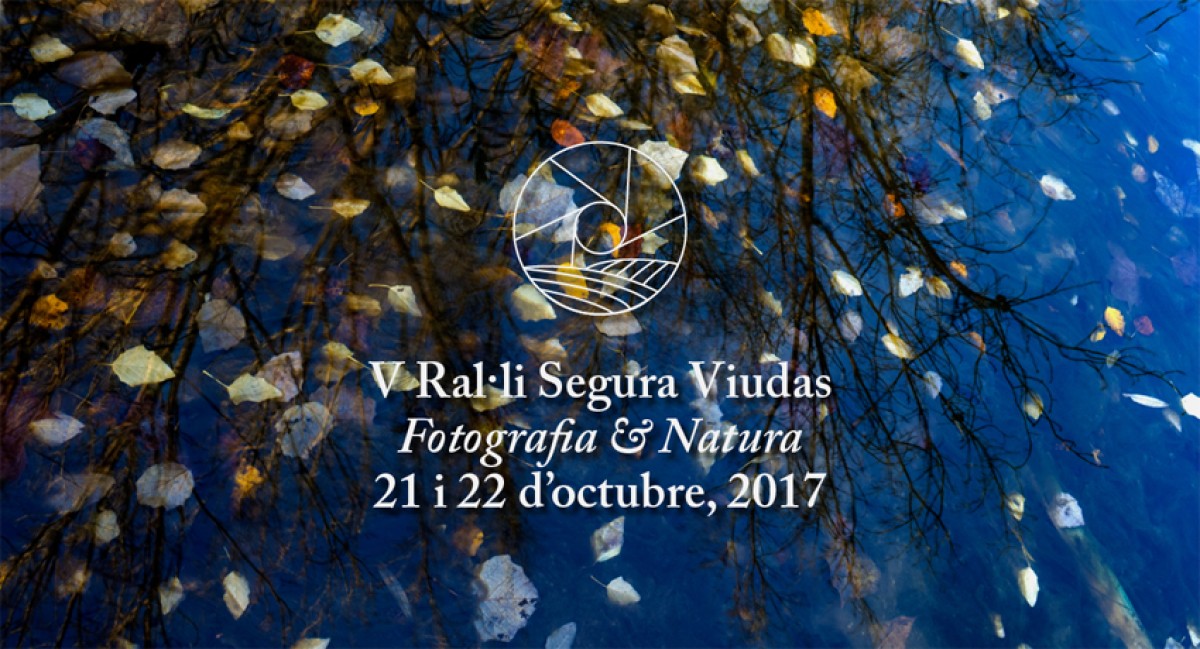 Imatge il·lustrativa