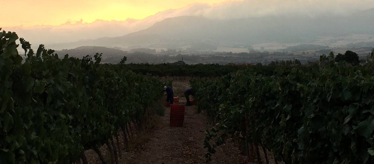 Imatge il·lustrativa