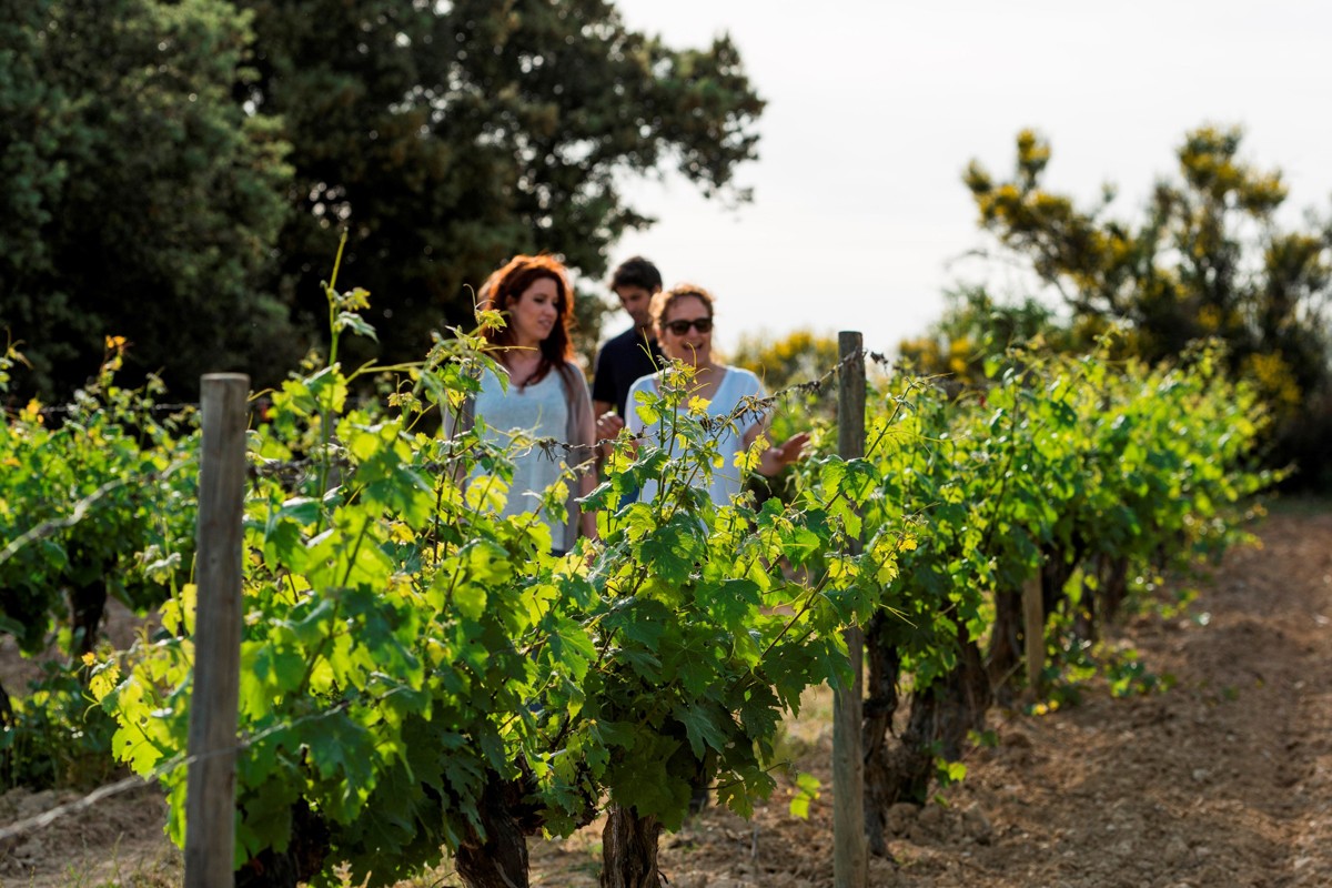 Imatge il·lustrativa