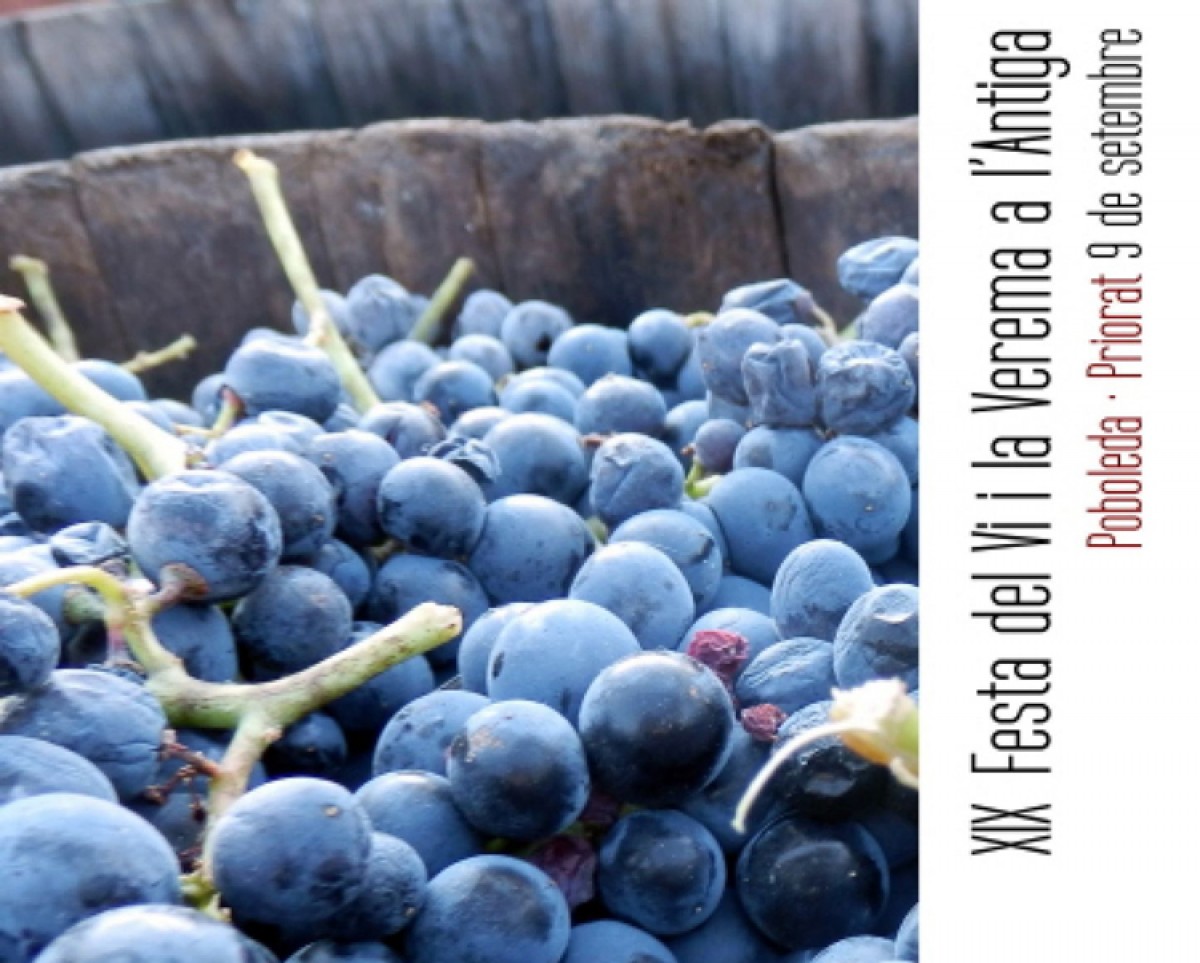 Imatge il·lustrativa