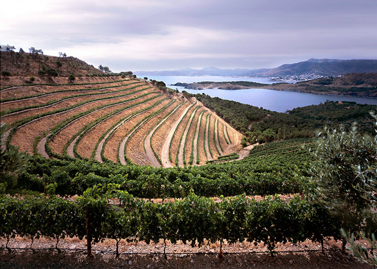 Imatge il·lustrativa