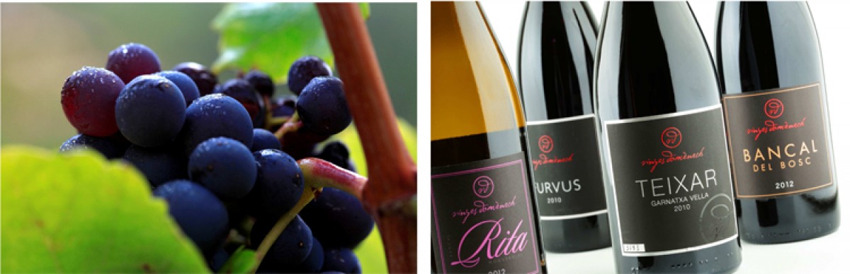 Imatge il·lustrativa