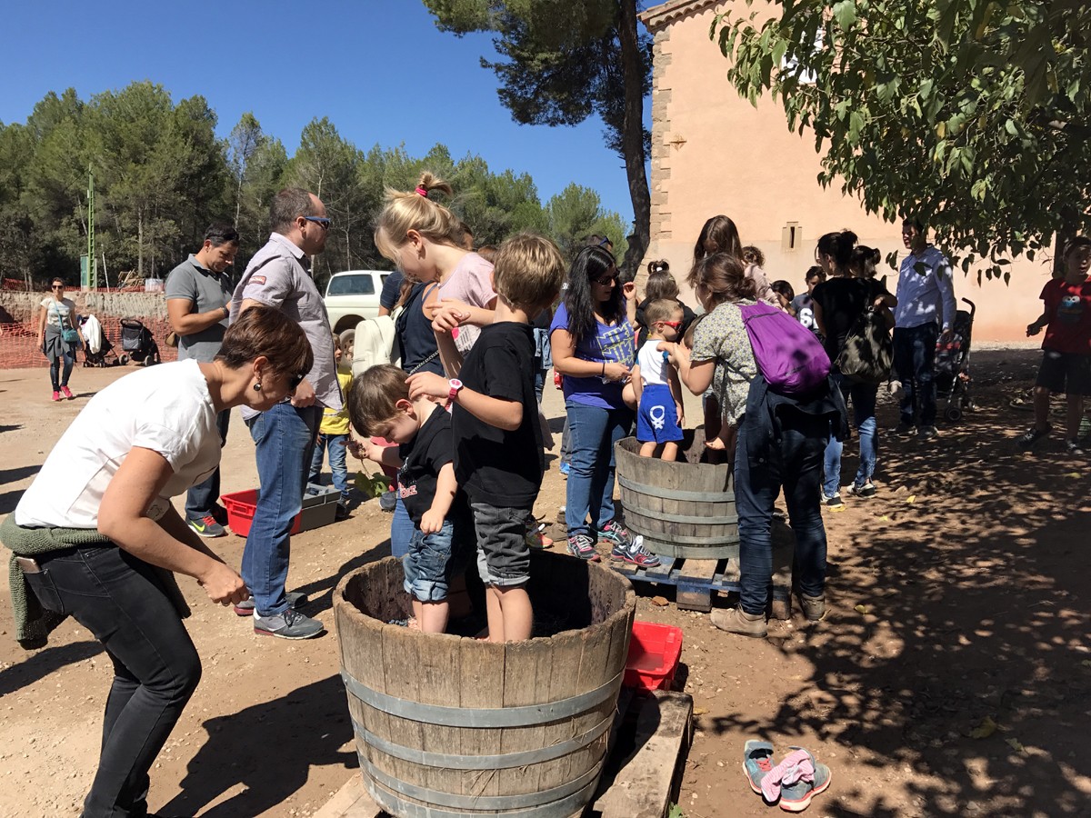 Infants gaudeixen trepitjant raïm durant la Festa de la Verema