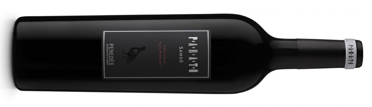 Imatge il·lustrativa