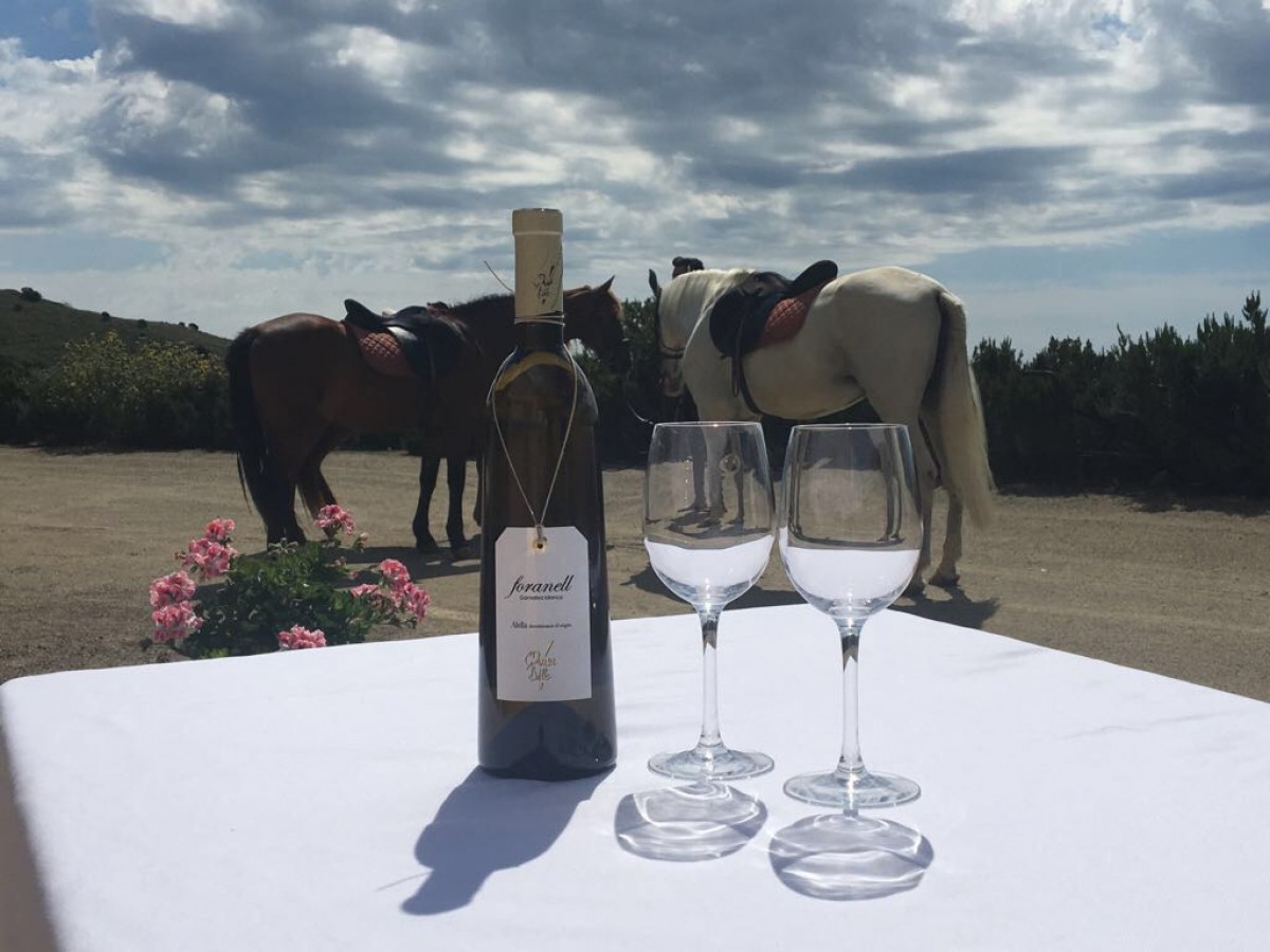 Imatge il·lustrativa