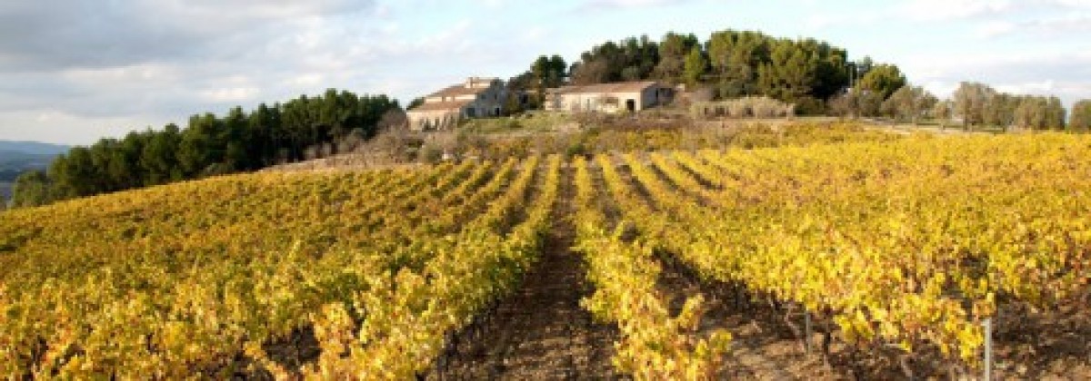 Imatge il·lustrativa