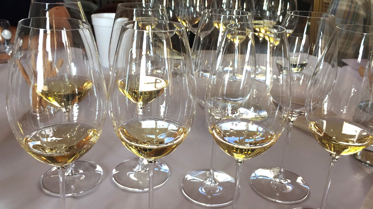 Imatge d'arxiu d'un tast d'escumosos a Gramona