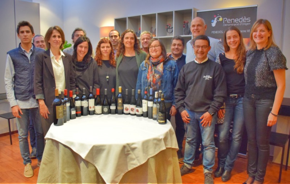 Imatge il·lustrativa