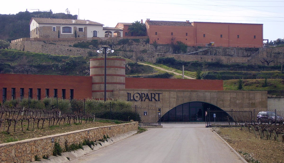 Imatge il·lustrativa