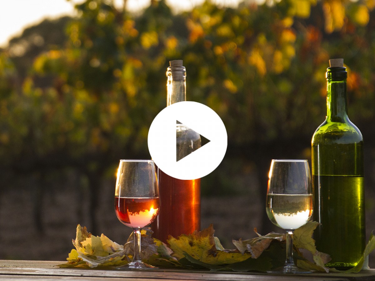 Imatge il·lustrativa