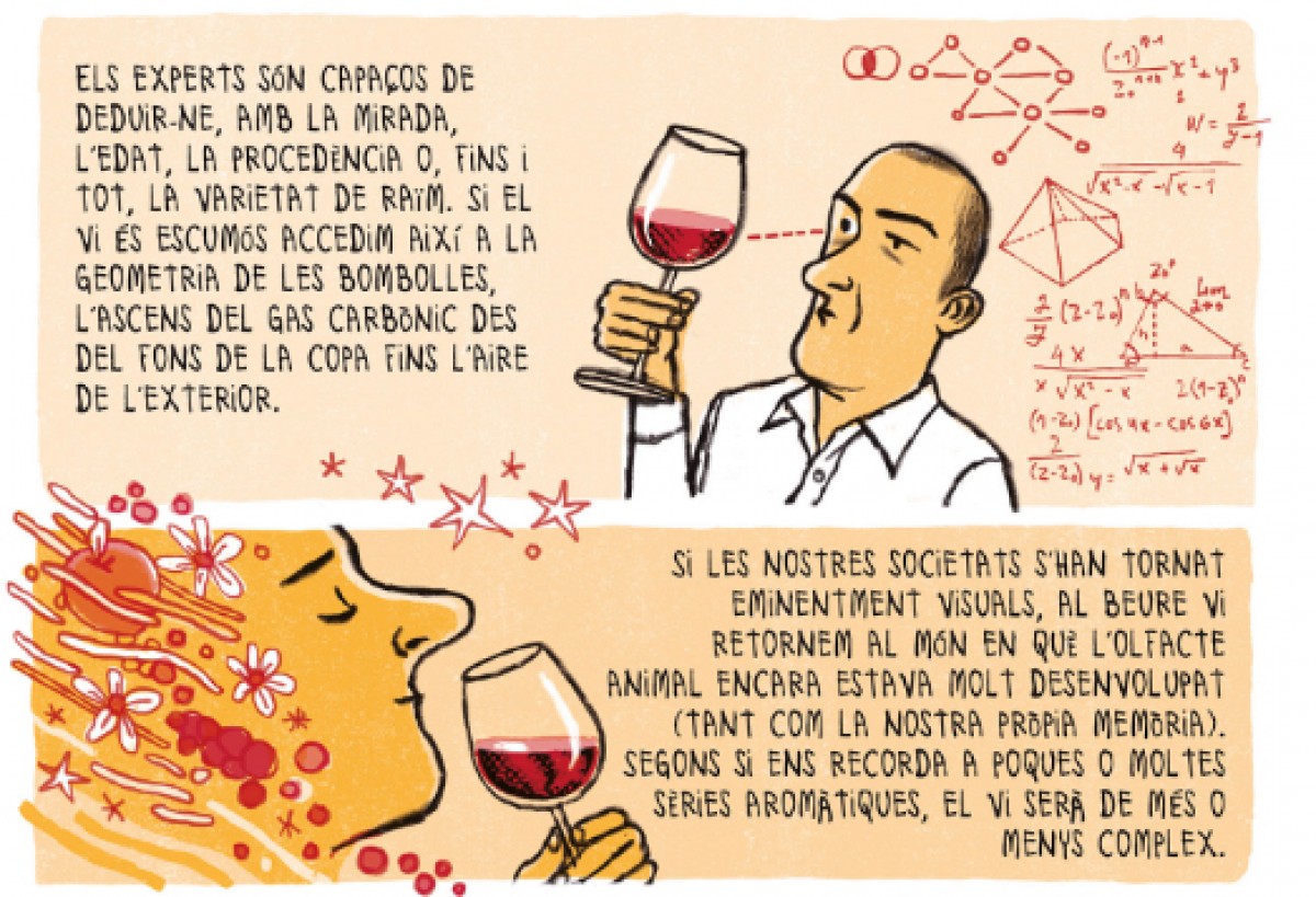 Imatge il·lustrativa