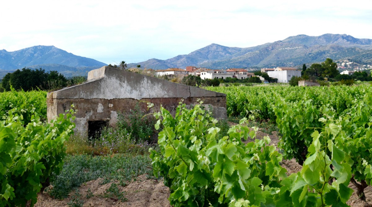 Imatge il·lustrativa