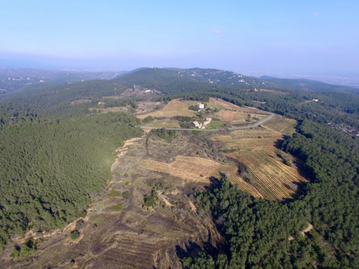 Imatge il·lustrativa