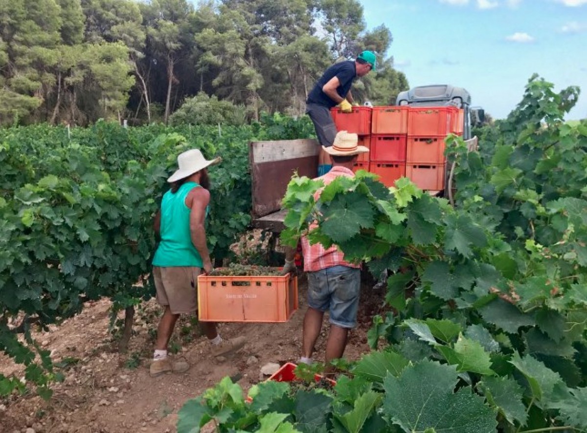 Imatge il·lustrativa